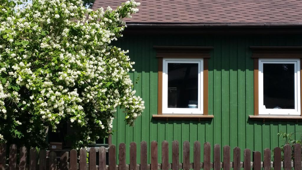 Summer House Ventspils Kültér fotó